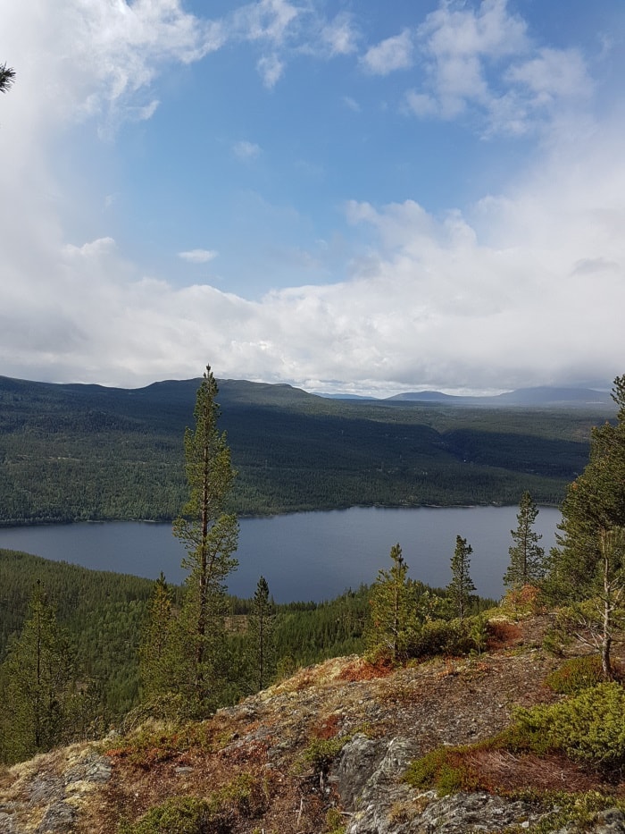 Siste fellestur